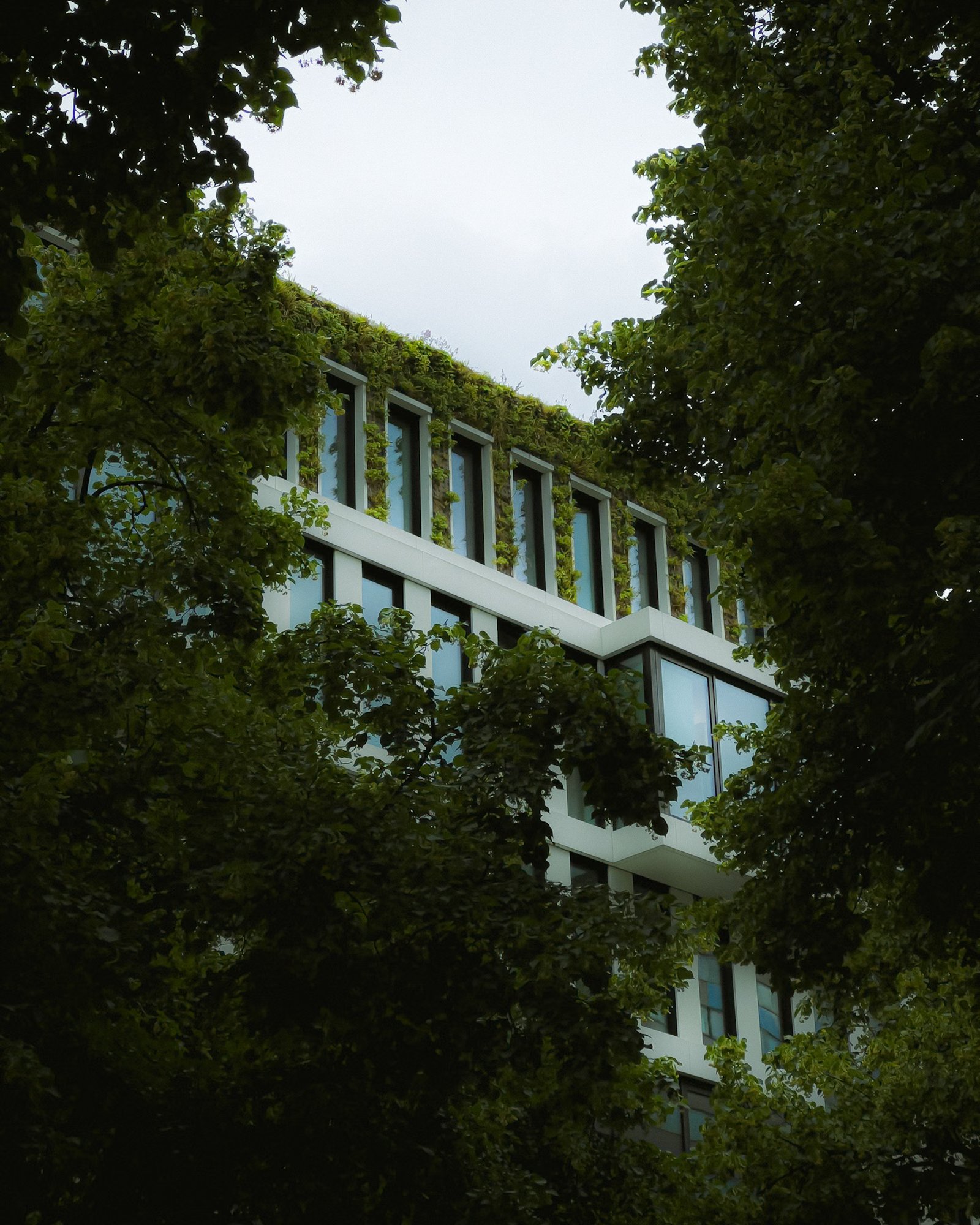 IMG_0079